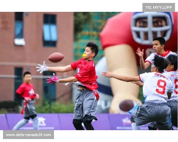 省政府办公厅发文促赛事经济,腰旗橄榄球列夜间潮流项目 省政府办公厅发文促赛事经济,腰旗橄榄球列夜间潮流项目