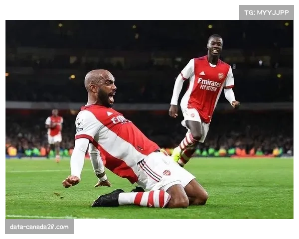 述评：VAR再次成为焦点，卢顿对阵布伦特福德一役的点球判罚引争议